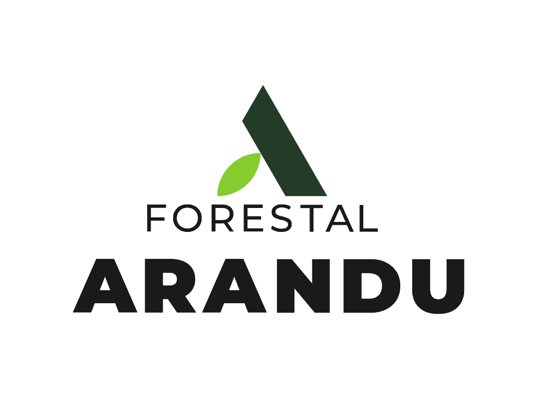 arandu-logo-2026.png (1)